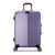 丹爵(DANJUE)20英寸/24英寸铝框拉杆箱 万向轮行李箱海关密码箱男女通用旅行箱 D27(紫色 24英寸)第3张高清大图