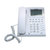飞利浦电话机座机办公家用（PHILIPS）CORD222来电显示电话机蓝色背光第2张高清大图