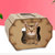 福丸宠物猫抓板磨无 立体猫房子型第6张高清大图