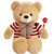 爱尚熊毛绒玩具泰迪熊布娃娃抱枕玩偶抱抱熊玩具 大号国旗熊120cm 国美超市甄选第4张高清大图
