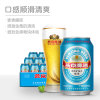 燕京啤酒11度330ml*24 蓝听整箱装 特制精品啤酒