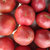 水果西红柿生吃沙瓤酸甜爽口 2.3kg第5张高清大图