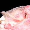 仙泉湖国产供港花鲢鱼头600~700克胖头鳙鱼双边(CNAS认证) 国美超市甄选
