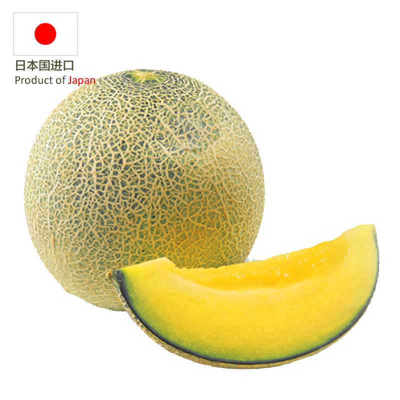 日本进口网纹瓜 1个装 约1800g 北海道风味新鲜水果水果蔬菜
