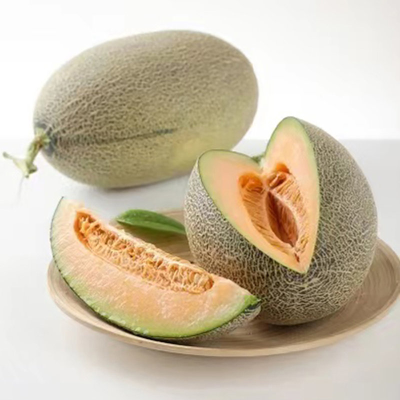 本该严选内蒙古河套哈密瓜2颗带箱约7斤清脆甜蜜水分充足细腻无渣