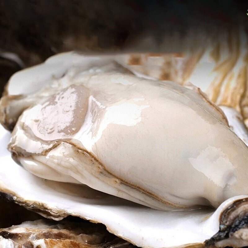 弘运德威海鲜活生蚝5斤装xl号约2028只乳山新鲜牡蛎海蛎子