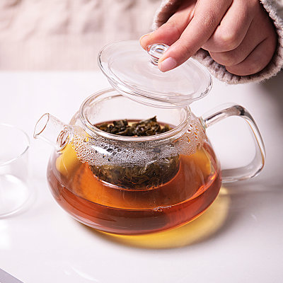 丹麦VIVA 尼科拉系列北欧耐高温玻璃茶壶细滤网泡茶壶0.75L 真快乐厨空间