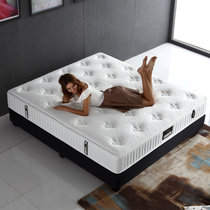 寝尚 床垫 乳胶床垫 椰棕床垫 棕垫 1.51.8双人床垫 弹簧床垫(白色 1200*2000)