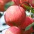 坤力丰洛川苹果2.5kg 新鲜脆甜  果大均匀第5张高清大图