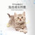 亿迪猫粮幼猫专用猫粮自营2kg高蛋白美毛零食 国美超市甄选第2张高清大图