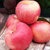 国美真选 山东烟台红富士苹果6枚装(单果80mm+) 脆甜多汁 产地直发第3张高清大图