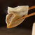 冶春食品蒸饺900g 50g*18只 早餐包子 馒头包子 火锅挂面 早餐面食面点 冷藏方便面条第4张高清大图