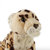 国家地理国家地理NG猫科动物系列 美洲豹 15cm毛绒玩具仿真动物 国美超市甄选第3张高清大图