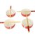 乾越中式陶瓷金猴瓷碗筷餐具礼品金选套装(红色 默认值（请修改）)第5张高清大图
