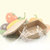 (国美自营)壳氏唯稻壳环保饭盒保鲜盒H13-LBF022第4张高清大图