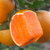 誉福园秭归脐橙九月红 新鲜橙子 现摘现发 12枚百分诚彩箱 维c充足，香甜软滑，汁水充足第4张高清大图