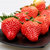 五味堂 红颜草莓  新鲜水果现摘 顺丰发货（新疆西藏青海宁夏甘肃内蒙古不发货）(3斤装)第2张高清大图