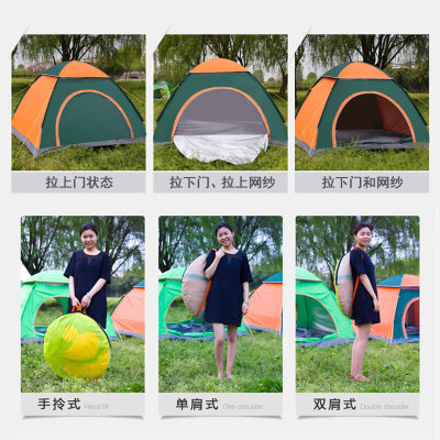 单门速开帐篷户外旅行帐篷双人全自动野营速抛帐篷tp2307(绿橘色)