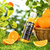 农夫山泉NFC橙汁果汁饮料 100%鲜果冷压榨 橙子冷压榨 300ml*24瓶  整箱装第7张高清大图