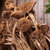 禾煜茶树菇200g*2袋 古田干货 菌菇 菌菇特产菌类第4张高清大图