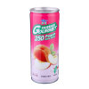 通天下 水蜜桃汁饮料 245ml*24罐 （台湾地区进口）