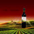 美国进口 贝贝树梅洛干红葡萄酒750ml/瓶第5张高清大图