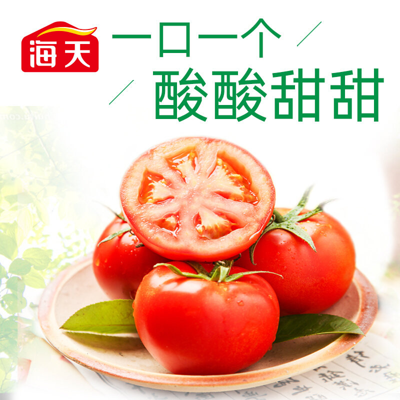 海天番茄酱305g番茄沙司烘焙原料中华老字号