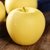 山东烟台黄元帅苹果新鲜黄金帅粉苹果黄香蕉新鲜苹果(5斤装（单果80mm起）)第2张高清大图