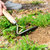 英国BerryBird户外不锈钢拔草刮草除草挖杂草种花bb花园园艺工具(不锈钢拉锄)第5张高清大图