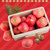 京觅陕西洛川富士苹果21-24个一级铂金果约4.7kg 单果约180-270g 中秋礼盒 新生鲜水果第4张高清大图