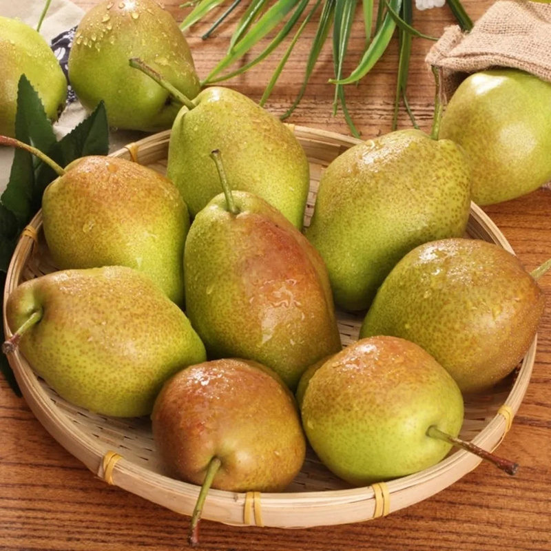 梨花朵朵国美真选新梨7号3斤装河北特产中通快递净重25斤香甜多汁皮薄