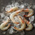 富达亿品国产白虾500g 海鲜水产大虾 火锅食材 国美超市甄选第5张高清大图