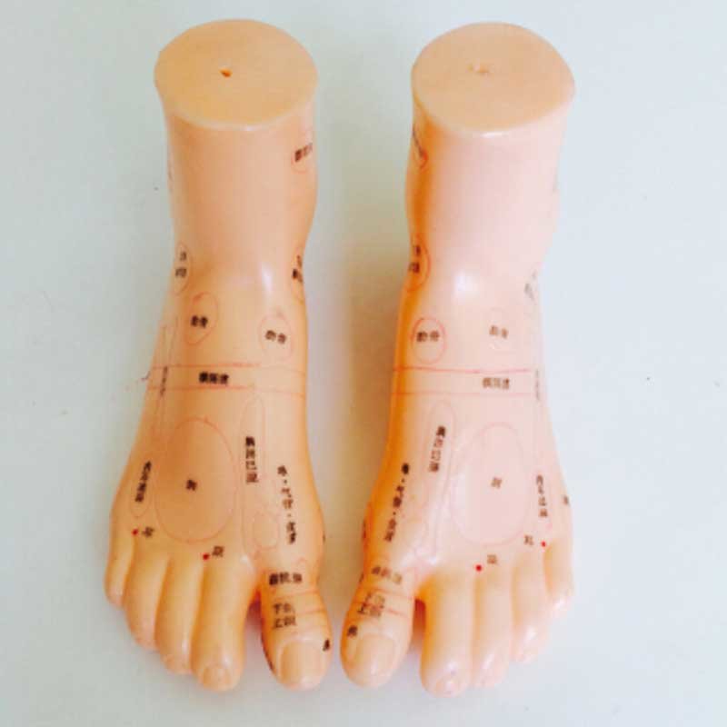 华佗牌 针灸穴位模型 足模 左右脚(塑料18cm)