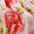 伊莲家纺 超柔印花珊瑚绒毯 白牡丹(粉色 1.8*2)第3张高清大图