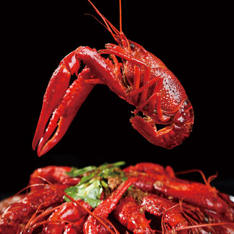 今锦上麻辣小龙虾800g46钱净虾500g中号2030只餐饮同款海鲜火锅方便菜