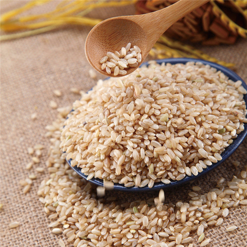 巧妇炊 糙米 精品礼盒装5kg(10斤) 东北新大米 粗粮 杂粮 当年现磨 原