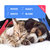 福丸撸猫手套右手红色无 小型犬猫专用第4张高清大图
