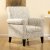 【百伽】美式布艺休闲沙发 麻棉斑马纹单人沙发第2张高清大图