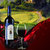 法国 朗格多克山坡 原瓶进口  AOC AOP级 红酒 2010瓦尔玛尼庄园红葡萄酒 单支装 750ml第2张高清大图