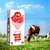 兰雀全脂纯牛奶1L*12盒120mg高钙 原装进口第3张高清大图