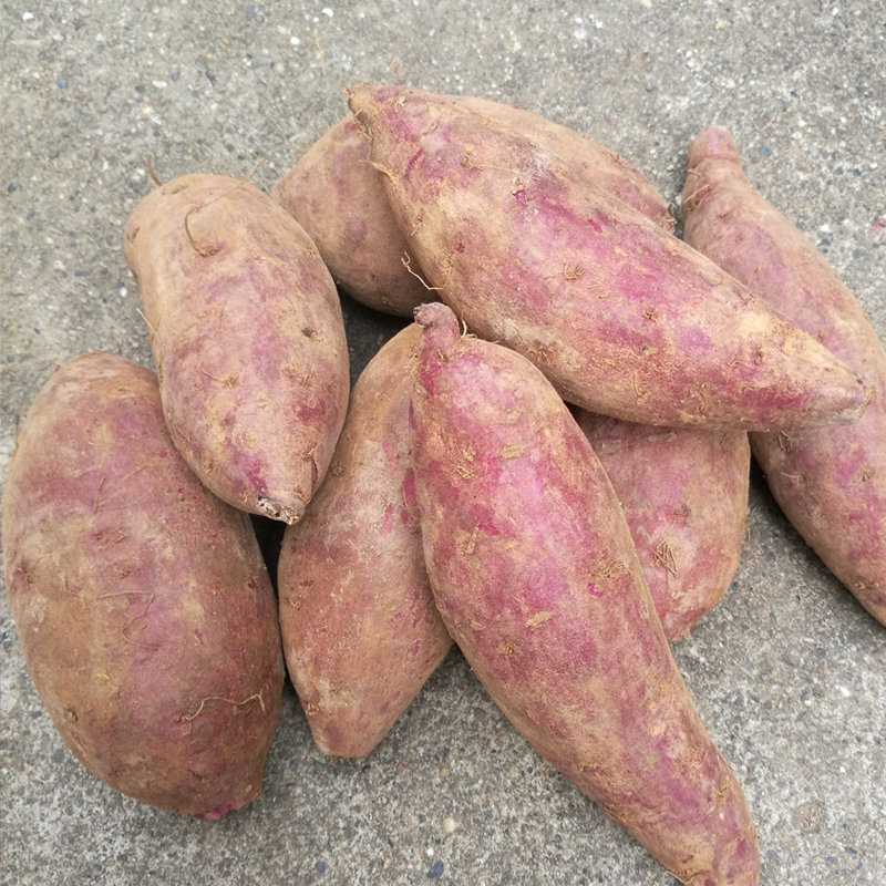 广西紫薯39斤新鲜现挖农家自种地瓜紫番薯紫心紫薯整箱5斤装紫薯