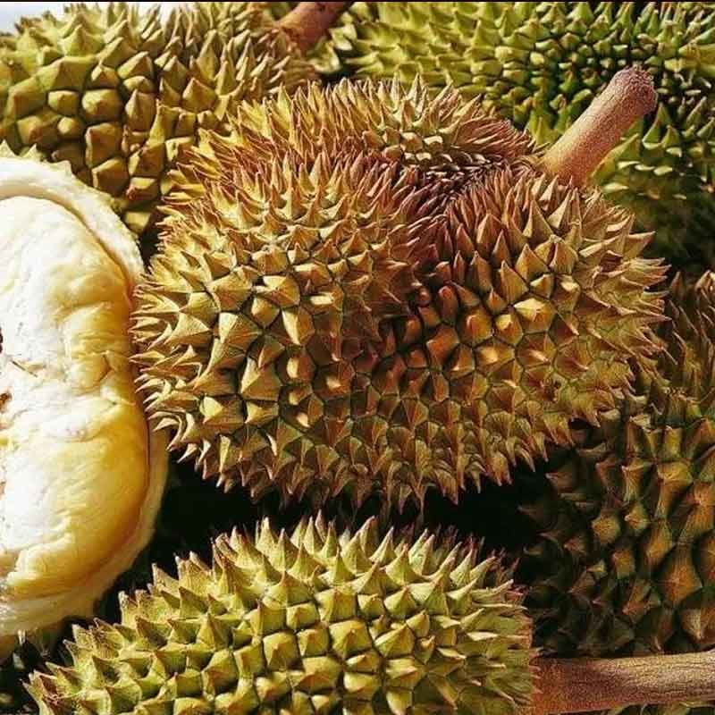 国美真选已通过核酸检测泰国进口金枕头榴莲巴掌榴莲鲜果23斤单个新鲜