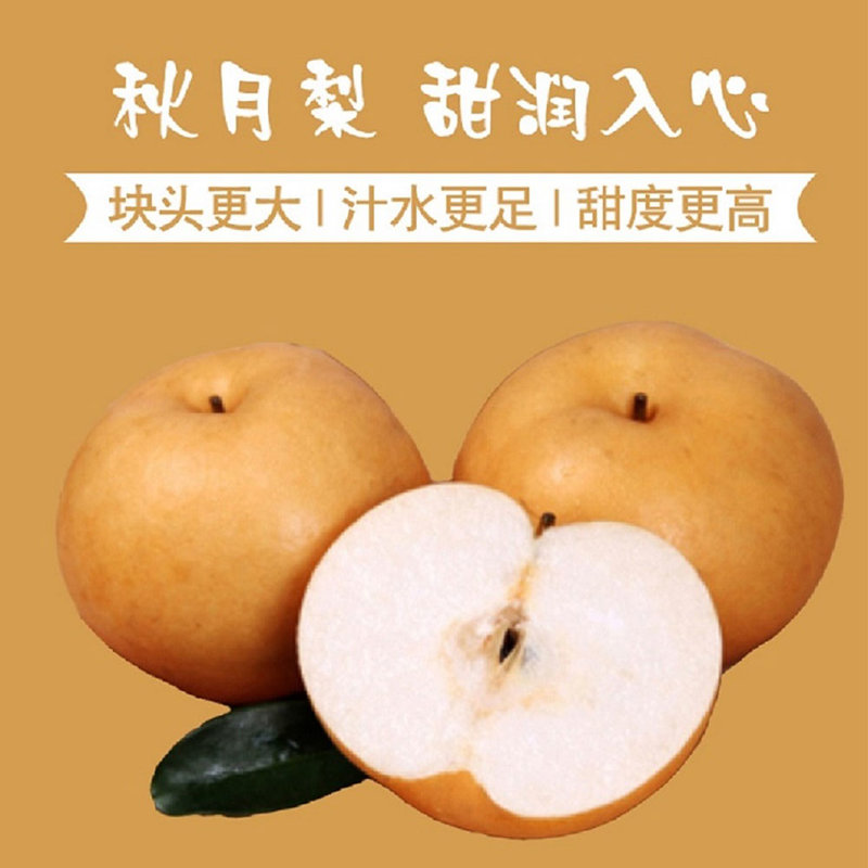 远达秋月梨9斤装(净重9斤)中果 60-70mm 果味浓