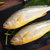 海名威鲜冻黄花鱼700g 2条 袋装 生鲜海鲜水产 鱼类第2张高清大图