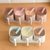 调料盒套装家用组合盐罐调味盒调料罐厨房用品小百货带勺收纳盒(粉色（圆形） 2格调味盒+底座（附赠2个勺子）)第5张高清大图