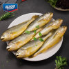海名威国产冷冻黄花鱼(大黄鱼)2.1kg 6条装  生鲜 海产礼盒  海鲜水产