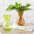 欧式水培植物玻璃花瓶A671办公室简约彩色绿萝植物瓶摆件lq(紫色)第5张高清大图