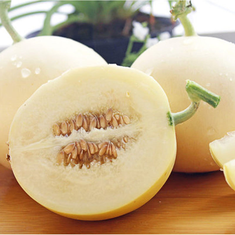 静奶奶正宗陕西阎良甜瓜5斤装46枚产地直发现摘现发