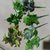 俊采云JCP85仿真假绿植蕨类植物花艺背景墙插花装饰叶子（单位：个）(默认 JCP85)第5张高清大图