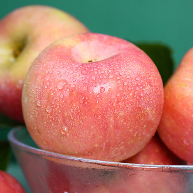 本该严选陕西膜袋富士苹果约5斤 肉厚核小 甜脆可口